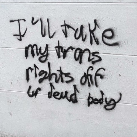 Words spray painted on a white wall

I'LL TAKE MY TRANS RIGHTS OFF UR DEAD BODY