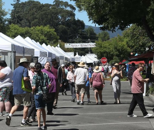 California wine exports face steep decline amid trade tensions-Xinhua