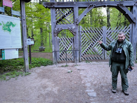 Het oerbos is alleen toegankelijk met een gids