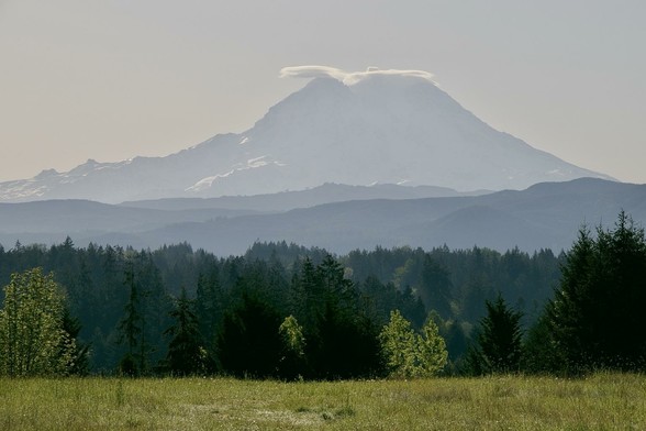 A majestic snow-covered mountain shrouded in mist, with a unique cloud formation at its summit. The foreground features a lush green meadow surrounded by dense evergreen forests and distant rolling hills.