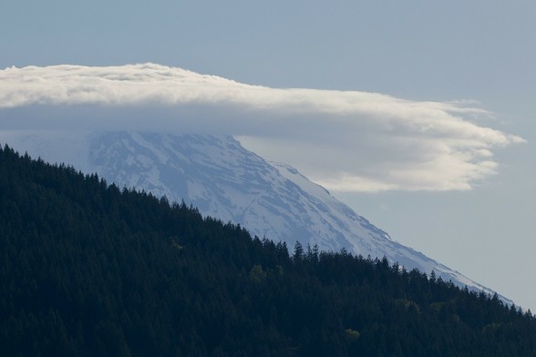 A snow-capped mountain is partially obscured by a low cloud formation, with a dense forest of evergreen trees in the foreground. The sky is clear with a hint of blue.