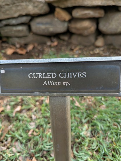 Sign indicating Curled chives (Allium sp)
