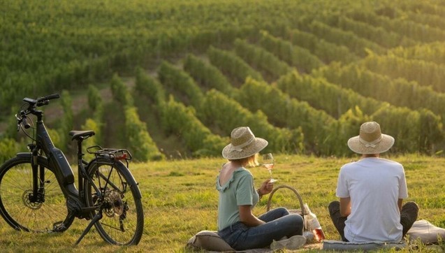 Greece's Cool-Climate Regions Play A Key Role In Wine's Future