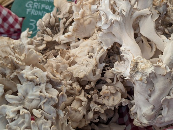 Maitake mushrooms