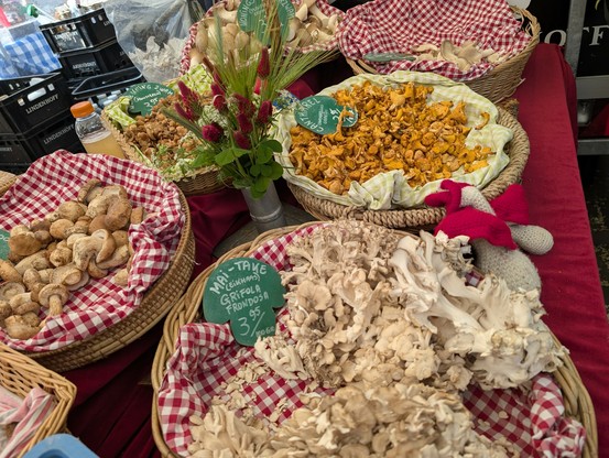 More of the same stall.