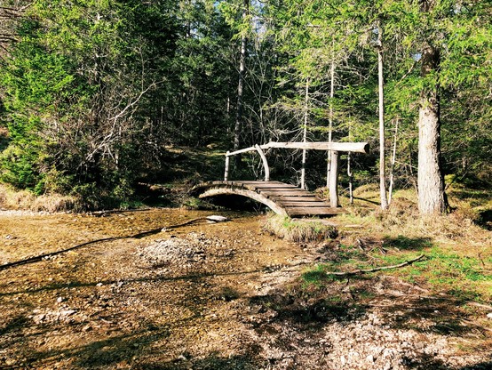A tiny wooden bridge over a stream along a trail in the woods