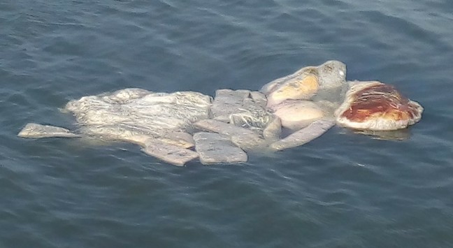 Close-up of previous image.