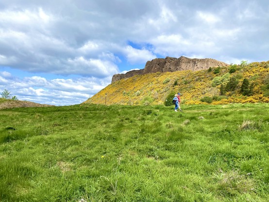 Two lovers stroll past bright yellow gorse flowers on the side of Salisbury Crags