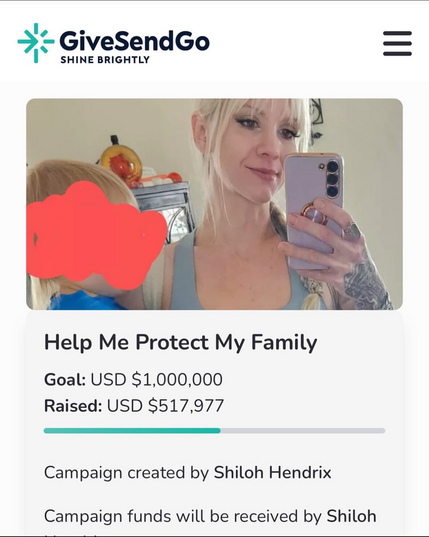 The fundraising page for a white woman who called a 5 year old the n-word. So far, she has raised over $500k.
