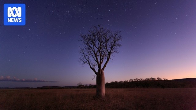 The Eta Aquariid meteor shower is about to peak. Here's how to catch it from Australia