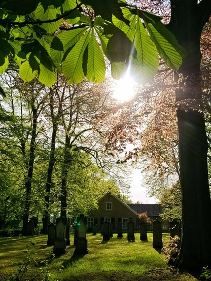 In front of me is a grassy area with a few gravestones. They are very old and dark. A little further away you can see a red brick building. The small cemetery is surrounded by tall trees. The leaves of a chestnut tree protrude into the picture from above. Behind them, the sun shines through the red leaves of another tree. A peaceful place.