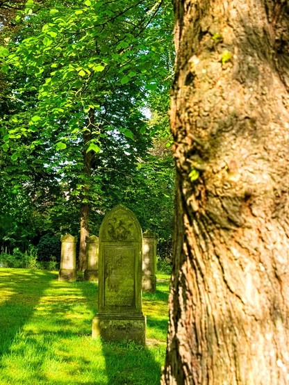 A tree trunk in the foreground on the right, out of focus. A gravestone can be seen behind it. It is pointed at the top. Behind it are a few more. The small cemetery is bordered by tall, green trees. The sun falls on the cemetery, the gravestone in front casts a long shadow in my direction.