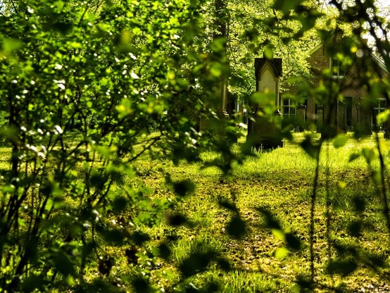 View through greenery. The focus is on a light-coloured gravestone with a black ‘pointed roof’. The sun falls on the gravestone.