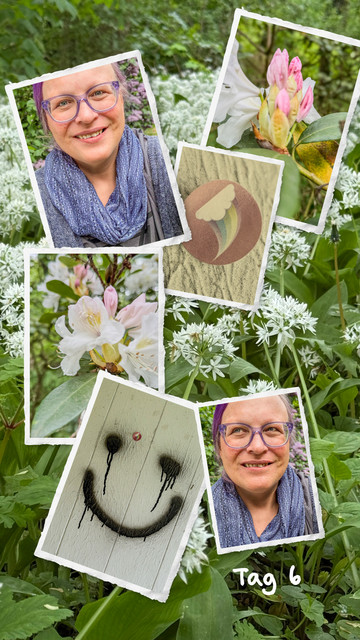 Eine liebevoll gestaltete Collage vor einem Hintergrund aus blühendem Bärlauch im Wald. Im Mittelpunkt: zwei fröhliche Selfies einer Person mit lila Haaren, Brille und blauem Halstuch. Umgeben von Bildern zartrosa Rhododendronblüten, einem Button mit Regenbogenflügeln als queeres Symbol für Hoffnung und Sichtbarkeit, sowie einem gesprühten Smiley mit verlaufenden Augen – zwischen Freude und Ernst. Unten rechts steht „Tag 6“. Die Collage erzählt von Selbstliebe, Naturverbundenheit und queerer Kraft.