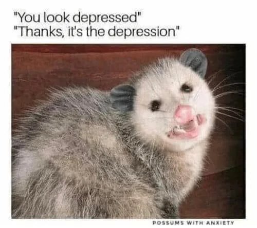 A picture of an opossum awkwardly smiling. The text above the picture says:
- you look depressed 
- tanks, it's depression