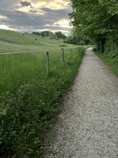 Ein Wanderweg führt auf den Horizont zu, rechts Bäume, links ansteigende Weideflächen, Himmel mit vielen Wolken, durch die die aufgehende Sonne scheint.