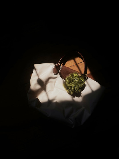 An image of a keychain version of Count Underoo McGoo on a medium-sized Longchamp Le Pliage bag on a sharply lit wooden floor.