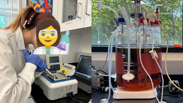 A girl leaning over a machine with a pipette, wearing gloves and a lab coat. Next to this is a photo of a large glass jar with a lot of tubes running into it and half full of a transparent orange-brown liquid.