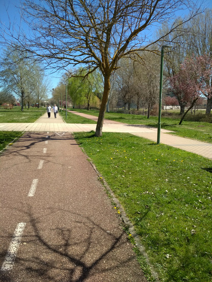 Parque lineal del Vena a la altura del G3. Carril bici que transcurre paralelo al rio, la foto está sacada desde la bici en sentido Villimar. Se ven dos tramos rectos, paralelos entre si y al rio, uno es un carril bici y el otro es un camino peatonal. En este punto hay un tramo perpendicular a ambos que es de uso peatonal, y que por algún motivo desconocido al pasar por el se cambia el uso, la continuación del carril bici es un tramo peatonal, y la continuación del tramo peatonal es un carril bici.