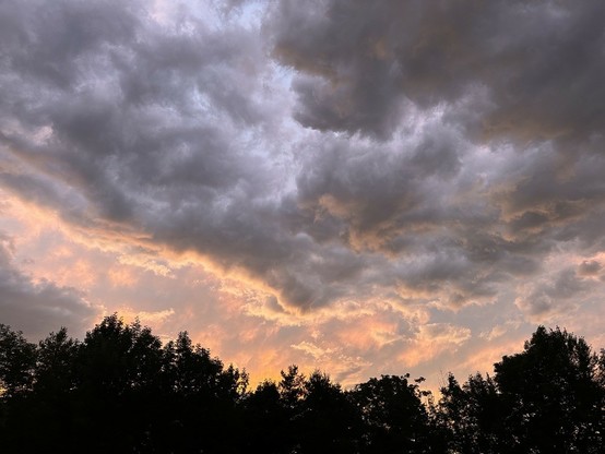 A blend between stormy clouds and what we like to call Maxfield Parrish sunsets. Pastel yellowy oranges and pinks near the tree line, giving way to serious rain clouds as it gets higher and closer, although some of the serious clouds are dipping into the fancy palette on their lower edges.