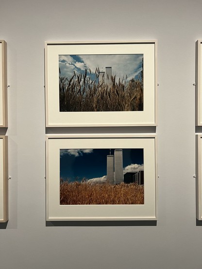 photo of two framed photographs. both show the world trade center towers behind a field of wheat with blue sky in the background and nothing else from the skyline of new york visible.
