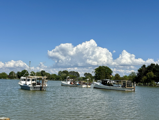 Work boats tied up on the creek. Blue skies and big white clouds