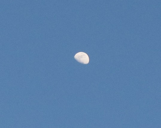a zoomed in shot of the moon (sorry i dont have a good lens for it)