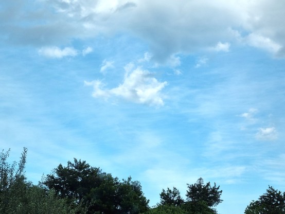 Nel cielo azzurro, sopra un gruppo di alberi, in lontananza una nuvola sembra avere la forma di un drago alato