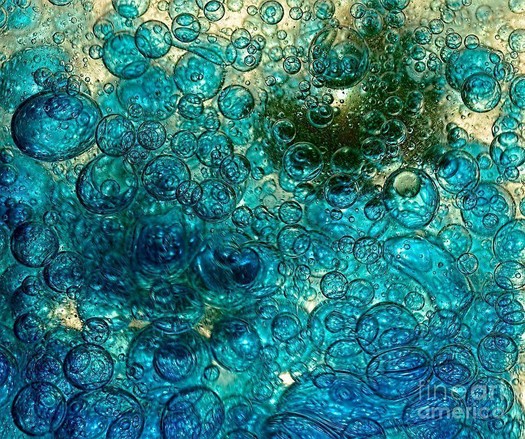 **ACHIEVED 2ND PLACE IN FAA CONTEST - "Puzzles - Challenging" January 2017

I love bubbles and water photography. This is one of my captures of lots of aqua blue bubbles in chaos or in a frenzy, with the late sunlight or sunset captured from behind the subject giving a nice soft yellow hue in the background.

THE FINE ART AMERICA LOGO WILL NOT APPEAR ON PURCHASED PRINTS OR PRODUCTS. 

By Kaye Menner Photography.

https://kaye-menner.pixels.com/featured/bubble-chaos-by-kaye-menner-kaye-menner.html