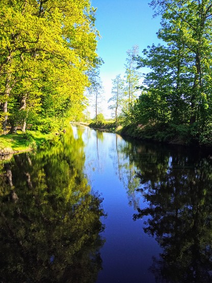 Kanal und Bäume im Sonnenlicht.