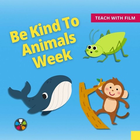 Text says: "Be Kind to Animals Week. Teach with Film." There are cute cartoon illustrations of a whale, a cricket, and a monkey. The Journeys in Film logo is a the bottom."