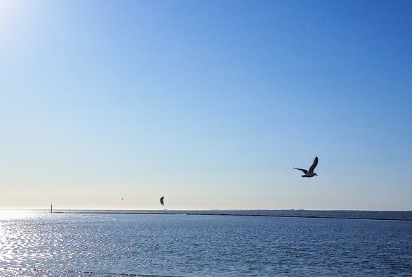Die Nordsee und eine freche Möwe, die mir ins Bild flog.