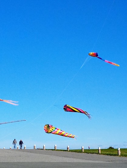 Bunte Drachen im Wind. Wolkenloser Himmel.