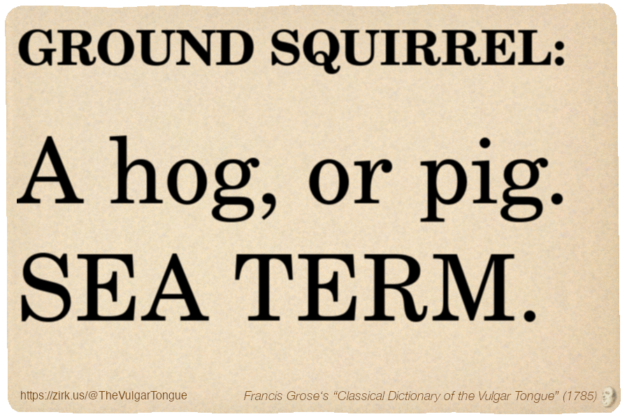 Image imitating a page from an old document, text (as in main toot):

GROUND SQUIRREL. A hog, or pig. SEA TERM.

A selection from Francis Grose’s “Dictionary Of The Vulgar Tongue” (1785)