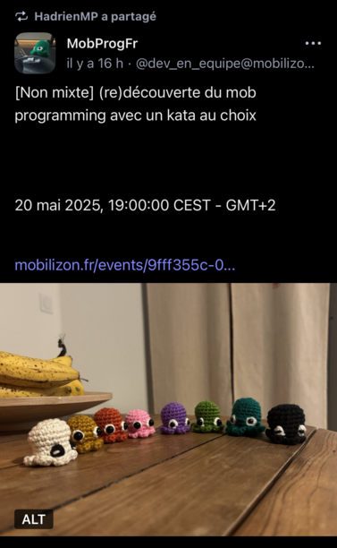 Capture d’écran du post mastodon de MobProgFr pour la session en non mixité du 20/05