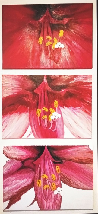 Dargestellt ist in drei Gemälden untereinander das langsame Verblühen einer Amaryllis. Die Blüte ist aus sehr geringer Entfernung vergrößert und recht detailfreudig gemalt.