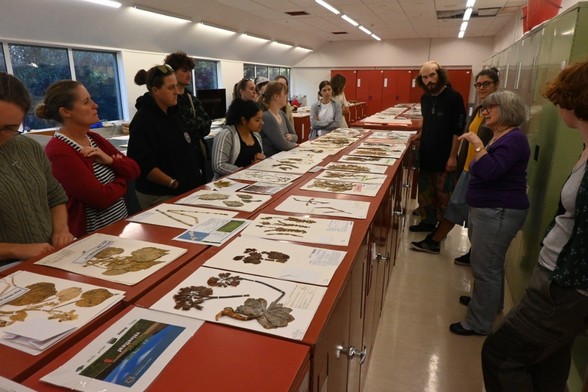 A photo of botanist Sue Gibb showing students from Lincoln University's second year Biological Diversity class around the incredible Allan Herbarium at Manaaki Whenua – Landcare Research in Lincoln. In front of them are example plant specimens that Sue had laid out for the class.

My full-res photo is on Flickr at https://www.flickr.com/photos/mollivan_jon/54504077127/
