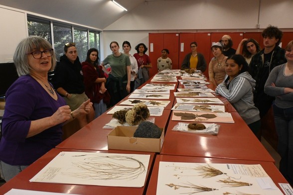 A photo of botanist Sue Gibb showing students from Lincoln University's second year Biological Diversity class around the incredible Allan Herbarium at Manaaki Whenua – Landcare Research in Lincoln. In front of them are example plant specimens that Sue had laid out for the class.

My full-res photo is on Flickr at https://www.flickr.com/photos/mollivan_jon/54504077102/