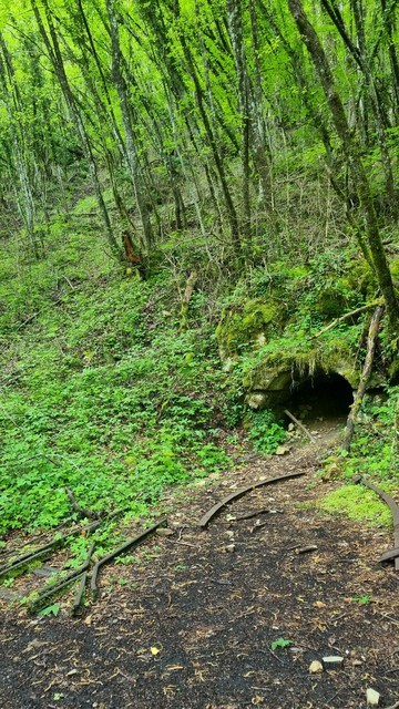 English The entrance of an old mine in the forest
Français L'entrée d'une ancienne mine en forêt.