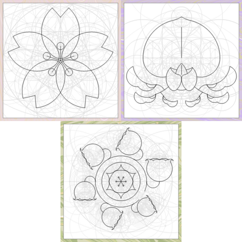Three computer generated line art drawings of sakura, wisteria and lily of the valley flowers. Each one made following the straightedge and compass rule, aka Euclidean constructive geometry. The flowers are drawn with black lines, while the underlying constructive straight lines and circles are also shown in light gray. Each flower is framed with a simulation of venetian paper, also procedurally generated.