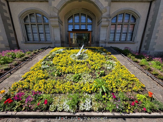 Das Foto zeigt die Blumenuhr vor dem Rathaus Bernburg, eine kunstvoll bepflanzte, funktionierende Uhr aus Blumen. Die Anlage ist rechteckig eingefasst von einem schmalen Steinweg und liegt vor einem historischen Gebäude mit drei großen Rundbogenfenstern. Die Ziffernblätter und Uhrzeiger bestehen aus weißen, metallischen Elementen, die sich inmitten eines gelben Blütenteppichs deutlich abheben. Rund um das Zentrum blühen in geometrischen Mustern weiße, pinke, rote und violette Blumen. Die Fassade im Hintergrund ist aus hellem Stein mit grau abgesetzten Details, die dem Gebäude ein majestätisches, fast schlossartiges Aussehen verleihen. Über der Eingangstür spiegelt sich die Umgebung in großen Fensterscheiben. Die Sonne scheint hell, es ist ein klarer Frühlingstag.