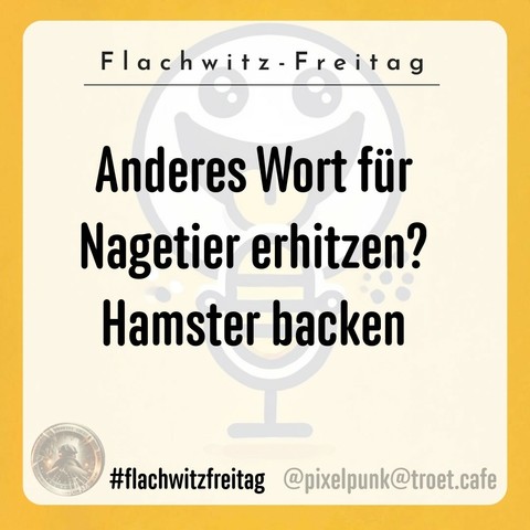 A humorous image featuring a smiling cartoon character against a yellow background. The text reads: "Anderes Wort für Nagetier erhitzen? Hamster backen," which translates to "Another word for heating up a rodent? Baking a hamster."