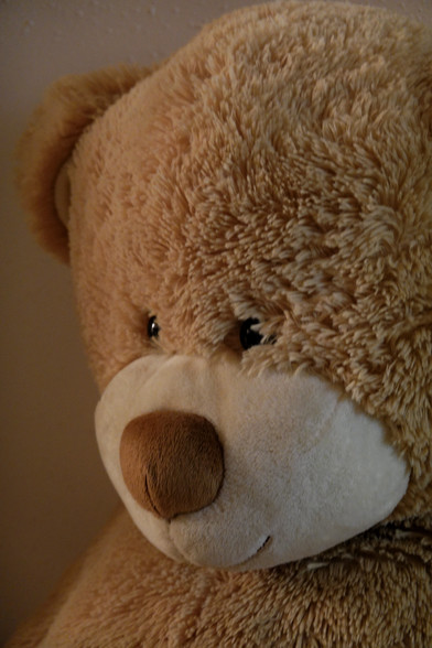 Kopf eines großen Teddybären