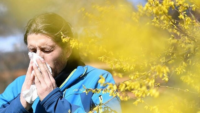 "Ganz schlimm": Was Münchner zur Pollensaison wissen müssen
