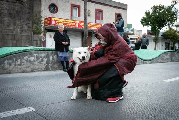 Fotografía a color de un perro blanco con su ojo derecho azul y el izquierdo negra quien una persona humana disfrazada de demonio con una máscara blanca con cuernos y una túnica roja y está agachade al nivel del perro a quien lo envuelve con la túnica. El perro tiene sus orejas agachadas y abre levemente su boca sacando un poco su lengua.

En el fondo se observa una señora recargada en el camellón y otras personas, y unos edificios.

©Sofía Dumat|CLAMOR DE LIBERTAD