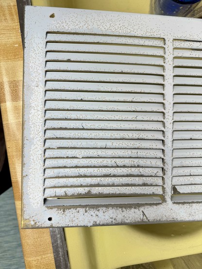 Detail of a metal vent cover with missing and pitted paint.