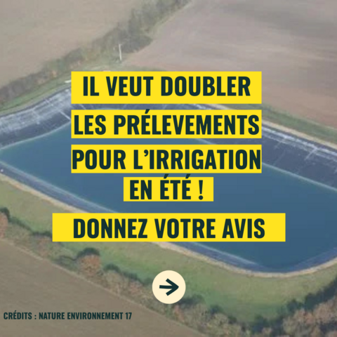 IL VEUT DOUBLER LES PRÉLÈVEMENTS POUR L'IRRIGATION EN ÉTÉ !
DONNEZ VOTRE AVIS

Même image de fond : CRÉDITS : NATURE ENVIRONNEMENT 17