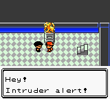 Screenshot of Pokémon Gold