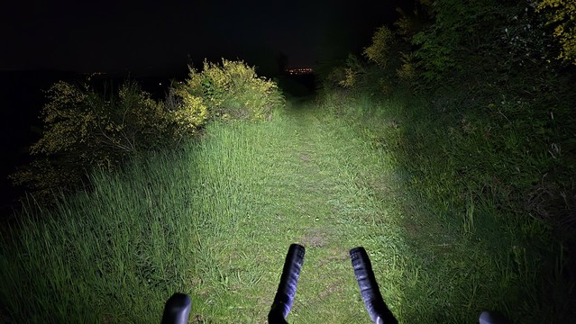 Ein vom Fahrradscheinwerfer beleuchteter, grasbewachsener Trail im nächtlichen Wald.