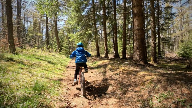 numéro 2 dans la forêt du Lac de Charpal